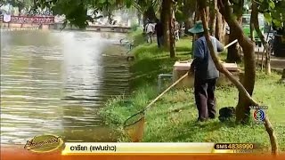 เทศบาลเชียงใหม่ยันคุณภาพน้ำคูเมืองสะอาด พร้อมเล่นสงกรานต์