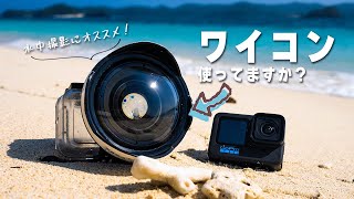 【水中撮影】動画のクオリティが一気に上がる！GoPro用のワイドコンバージョンレンズについて解説！