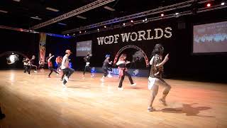 2018 WCDF Linedance Worlds Championships Silver Intermediate Funky 예선 KSLDA 라인댄스