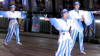 ドリーム夜さ来いオフィシャルチーム　2016 ドリーム夜さ来い祭り