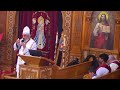 The Baptism in Our Lives - Father Mark Hanna