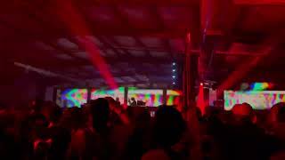 Subdocta dnb set