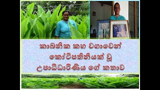 udhadhi dhariniya kaha wagawata කාබනික කහ වගාවෙන් කෝටිපතිනියක් වූ  උපාධිධාරිණිය ගේ කතාව