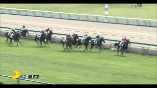 【競馬HD】2015　 7 11　中京1R　未勝利　メイショウベニフジ