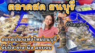 EP183 ซีฟู้ดสดๆ ตลาดสดธนบุรี เปิดใหม่ อลังการเวอร์ ยกทะเลมาไว้ฝั่งธน สดเหมือนกินริมเล five club