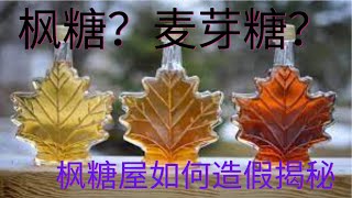 枫糖？麦芽糖，枫糖屋揭秘！！