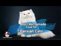 Best Homemade Food for Persian Cats