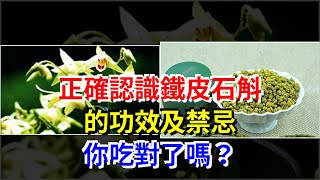 正確認識鐵皮石斛的功效及禁忌，你吃對了嗎？，[健康之家]