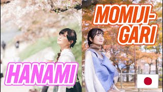 How to Fully Enjoy Viewing Cherry Blossoms/Autumn Leaves in Japan! Why We Love Hanami/Momiji-gari