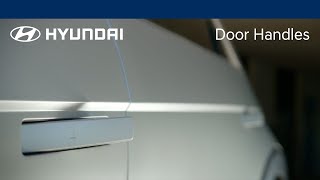 Door Handles | IONIQ | Hyundai