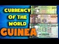 Currency of the world - Guinea. Guinean franc. Exchange rates Guinea.Guinean banknotes and coins