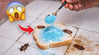 I Put Soap on Bread... What Happened Next Shocked Me! (Genius Home Trick)