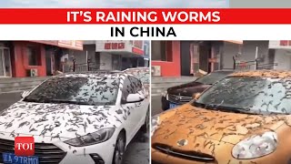 Viral: 'Worm Rain' in China, people witness bizarre phenomenon