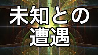 【知らない世界】実践しないとわからない。目の前の方の気持ちを理解したいという理由から、42.195キロを完走！！