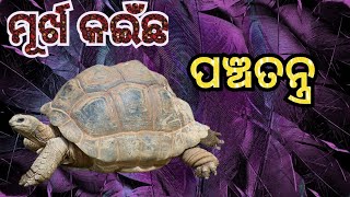 ମୂର୍ଖ କଇଁଛ ! MURKHA KAINCHA ! Odia moral story ! Panchatantra