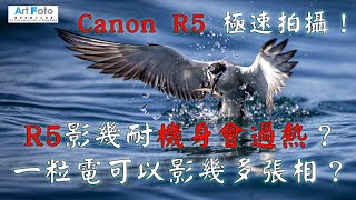 【攝影教學 #46】Canon R5極速拍攝 - 影幾耐機身會過熱/一粒電可以影幾多張/電子快門的Rolling Shutter現象(300/2.8,200/2)(CC 中文字幕)-Alex Fung