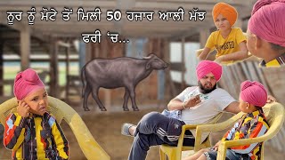 Sandeep Toor ਨੂਰ ਨੇ ਮੋਟੇ ਤੋ ਲਿਆਦੀ 50 ਹਜਾਰ ਵਾਲੀ ਮੱਝ Free ਵਿੱਚ ਮੋਟੇ ਦਾ ਰੋ ਰੋ ਹੋਇਆ ਬੁਰਾ ਹਾਲ