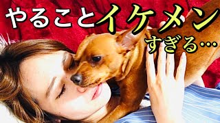 もしも飼い主が突然泣き出したら…【涙腺崩壊/感動】