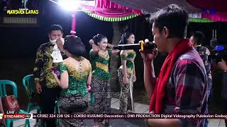 TAYUB MARSUDI LARAS Jum Cs || Wedding Mia & Joni • OZELA AUDIO • DWI PRO`2