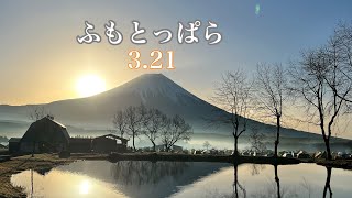 【ふもとっぱら】3.21最終日⁉️　親子でキャンプ！思い出に残るキャンプ