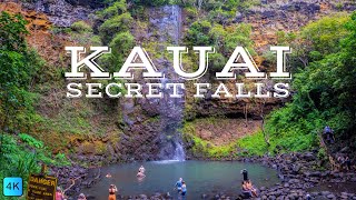 KAYAK and HIKING TOUR TO SECRET FALLS KAUAI | In 4K