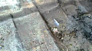 Jain beds _ennayiramalai3.mp4