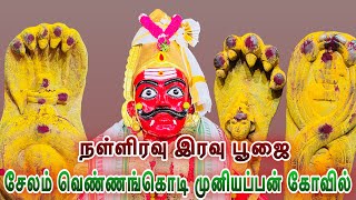 நள்ளிரவு இரவு  பூஜை வெண்ணங்கொடி முனியப்பன் கோவில் / Midnight Puja Salem Vennangodi Muniappan Temple