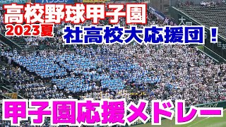 【高校野球　応援】社高校甲子園応援　1試合完全収録　地元兵庫代表の大応援団！ブラバン応援　野球応援　甲子園応援　【1回戦　日大三高 vs 社 】2023.8.9