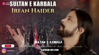 Irfan Haider Nohay | Sultan E Karbala | Slowed+Reverb |