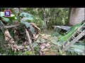 Gajah muncul depan, belakang rumah