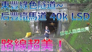 東豐綠色隧道~ 后豐鐵馬道 40k LSD 路線超美！(TheFatRat Time Lapse)