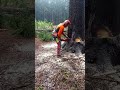 Husqvarna Chainsaw VS Lumberjack #shorts