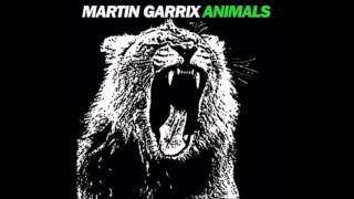 Animals - Martin Garrix -  Audio HD