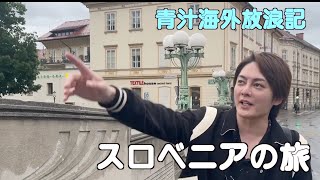 【青汁王子】ヨーロッパ最大のポストイナ鍾乳洞の景観をお楽しみ下さい【三崎優太 青汁切り抜き】