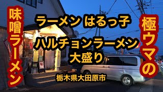 ラーメンはるっ子（栃木県大田原市）ハルチョンラーメン大盛り！地元老舗ラーメン店は深夜まで営業！