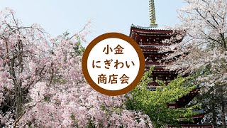 北小金駅から本土寺 へ、桜、紫陽花、紅葉