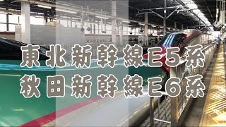 【日本東北JR PASS】前往日本東北旅遊吧！搭好搭滿的新幹線之旅，最喜歡車頭像可愛鴨嘴獸的「東北新幹線（はやぶさ）」與「秋田新幹線（こまち）」｜E5・E6系新幹線的「重聯運行」