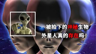 月球惊现人形生物，是乌龙事件还是真实存在的，你知道吗！