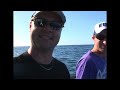 yellowfin kingfish madness part 3 the mother trip