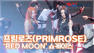 프림로즈(PRIMROSE), ‘PRIMROSE’ (@ ‘RED MOON’ 쇼케이스 라이브 무대) [PMK뉴스]