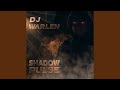 Shadow Pulse