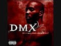 dmx hows it goin down