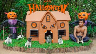 Rescue 5 Dogs From Floating Place Build Dog House Halloween For Puppies