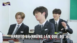 FUNNY MOMENTS TREASURE HARUTO VÀ NHỮNG LẦN QUÊ ĐỘ #1