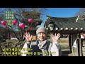 무여스님과 함께 하는 사찰여행 – 쌍봉사 전남 화순 ssangbongsa temple 4k