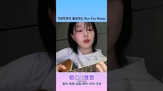 [엔믹스 해원] 기타치면서 불러주는 Run For Roses