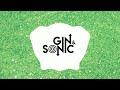 Lizzo - About Damn Time (Gin and Sonic's Tech House Remix)