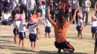 ゆうくんの運動会11/10/08_体操3