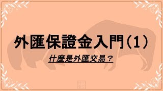 外匯保證金入門（1）什麼是外匯交易？