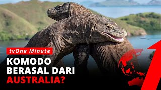 Waduh! Menurut Penelitian ANU, Komodo Berasal dari Australia! Benarkah? | tvOne Minute